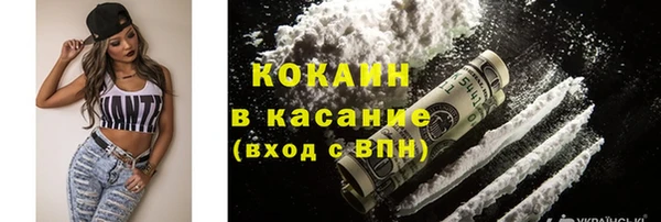 спиды Пересвет