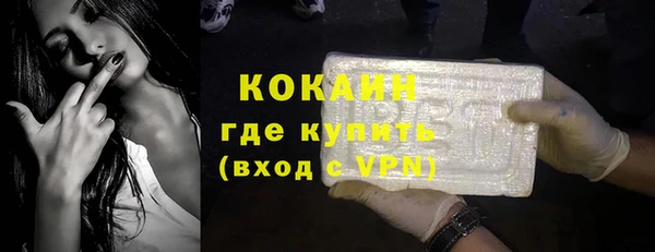шишки Пестово