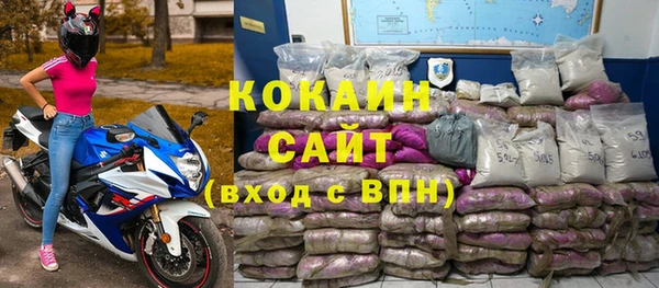 спиды Пересвет