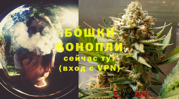 шишки Пестово