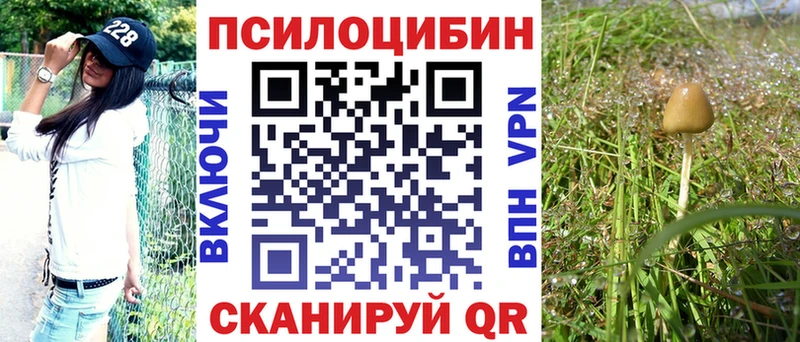 Галлюциногенные грибы GOLDEN TEACHER Старица